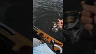 Hooked Into a Piling Monster