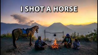 I Shot a Horse...  Mt Bromo Photography  Nikon Z8