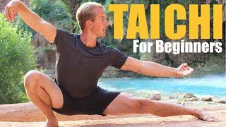 10 Tai Chi Moves for Beginners - 14 Minute Daily Taiji Routine