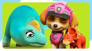 The Best Skye Dino Rescues  PAW Patrol  Cartoons for Kids