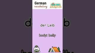 der Leib body belly  German language vocabulary