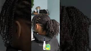 Mini twists on natural hair. My favorite protective style #microtwists