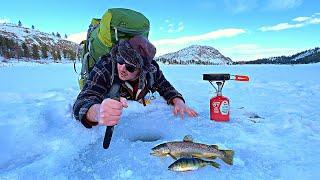 24h SOLO Ice Fishing Survival Challenge NO FOOD NO WATER Catch Cook Camp