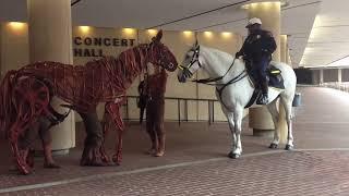 War Horse Joey interacts with a real horse  Lotaa Play 