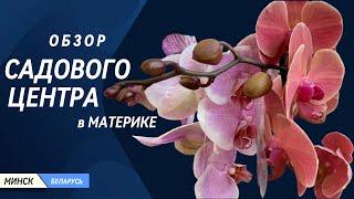 Обзор САДОВОГО ЦЕНТРА в Материке