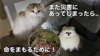 災害にあっても大丈夫なよう、猫と犬の安全を守る対策したらみんな笑顔になりました！新製品」【Jackery 1000 New】