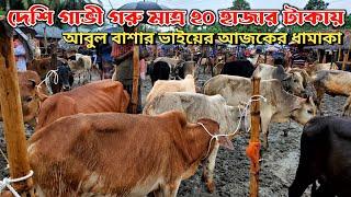 দেশী গাভী গরু মাত্র 20 হাজার টাকায় আবুল বাশার ভাইয়ের আজকের ধামাকা  বেতাগা হাট  নগর বাংলা টিভি