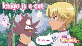 Im a cat? Ichigo transforms  Tokyo Mew Mew New Episode 10