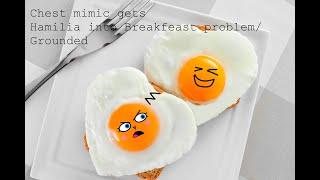 Chest Mimic Gets Hamilia into breakfast problemgrounded