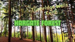 Hargate Forest - Tunbridge Wells Kent