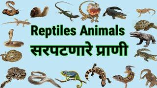 Reptiles animal name in englishmarathiReptiles animal   सरपटणार्या प्राण्यांची नावे सरपटणारे प्राणी