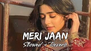 Meri Jaan  Slowed Reverb  Lofi Song  Neeti Mohan @LOFISONG4107
