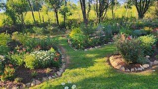 June 2024 garden tour in my GA zone 8a garden. Beautiful plants and the birds love it too.