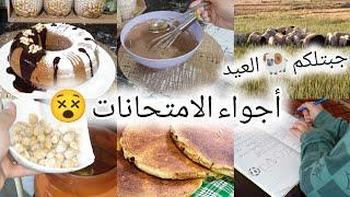 روتيني وقت الإختباراتكيفاش النظم وقتي بين الشغل و بين قراية ولديموسكوتشو في العلالي بزوج بيضات