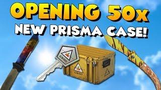 50x NEW PRISMA CASE OPENING 