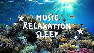 Musik Relaksasi Untuk Tidur  Aquarium 4K VIDEO Relaxing Music for Sleep  Rare & Colorful Sea Life