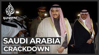 Saudi crackdown King Salmans brother and nephew detained