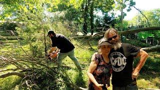 HER YARD BECAME TO MUCHTO MANAGE WHILE she was GIVING END OF LIFE CARE to a LOVED ONE out of STATE