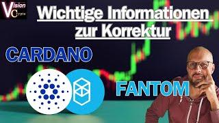 Der Cardano und Fantom Leitfaden für Investoren und Anfänger Preisziele und Markttrends erklärt