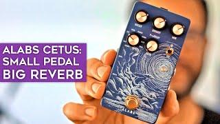 Alabs Cetus - super lush & affordable reverb pedal with Reface DX synthesizer