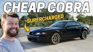 I Bought the CHEAPEST Running Terminator Mustang SVT Cobra