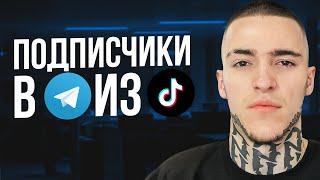 Подписчики в TELEGRAM канал из TikTok - ПОШАГОВЫЙ ПЛАН