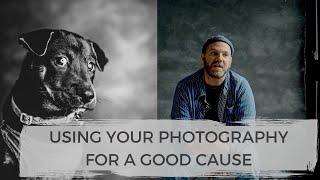 PHOTOGRAPHING SHELTER DOGS THAT NEED A HOME