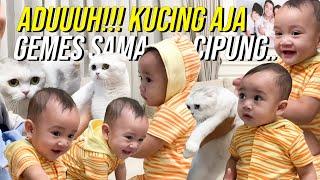 CIPUNG PERDANA DI PELUK KUCING??NAGITA KENALIN SEMUA KUCING CIPUNG MALAH GEMEEESSS