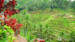 Bali Video Travel Guide  Expedia Asia