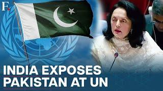 India Grills Pakistan at UN on Ram Temple CAA Remarks Calls It a Broken Record