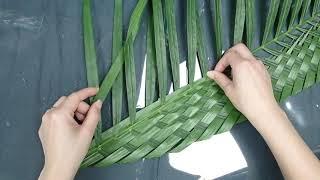 如何編織散尾葵？How to weaving of Lutescens?