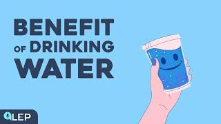 Why should we drink more water?  ️ 8 Minute English