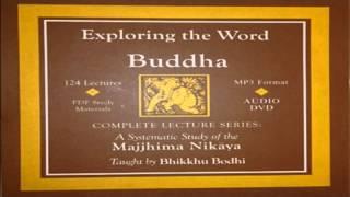 Potaliya Sutta - The shortcomings of sensual pleasure Majjhima Nikaya Bhikkhu  Bodhi Part 21 mp3