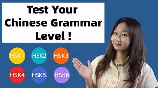 Test Your Chinese Grammar Level HSK Level 1 to 6 Grammar Tests