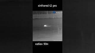 xinfrared t2pro охота на кабана