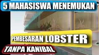 Mahasiswa ini temukan cara Pembesaran lebih dari 100 ekorM2  0% KANIBAL Kok bisa ?