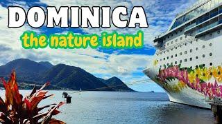 The most beautiful impressions of Dominica - Island tour - Titou Gorge hot springs panoramic drive