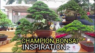 INSPIRATION FOR WINNING BONSAI  PAMNAS KEDIRI INDONESIA @Rmjgarden