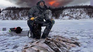 ЛЕНА Я УХУЕЛ сколько рыбы в этой ЛУНКЕ? Первый лед Якутия.