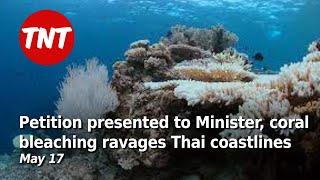 Petition presented to Health Minister coral bleaching ravages Thai coastlines - May 17