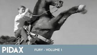 Pidax - Fury - Die Geschichte eines Pferdes 1955 - 1960 TV-Serie