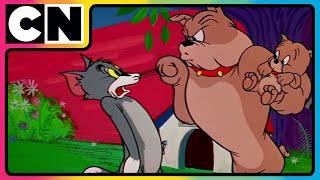 Tom & Jerry  Jerry’s Sneaky Tricks Revealed  Cat and Mouse Funny Video  @cnindia