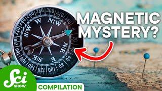 What Do Magnetic Fields Actually Do?  SciShow Compilation