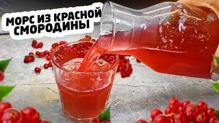 МОРС из КРАСНОЙ СМОРОДИНЫ. Натуральный и очень полезный