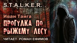 S.T.A.L.K.E.R. Прогулка по Рыжему лесу аудиокнига. ПОСТАПОКАЛИПСИС. Читает Роман Ефимов.