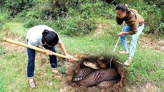 While weeding the two sisters panicked when they discovered that they were attacked by a king cobra