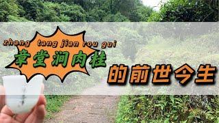 【小陈茶事】跨过牛栏坑，爬过马头岩，来到武夷岩茶三坑两涧的神秘之地章堂涧