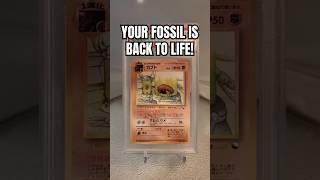 Helix or Dome Fossil? Which One Are You Choosing? #pokemon #pokemoncards #tcg #vintage #fossil