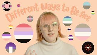 14 Asexual Spectrum Identities  Different Ways to Be Ace