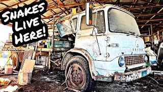 Vintage Crane Truck Sitting for 20yrs - Will It Run?